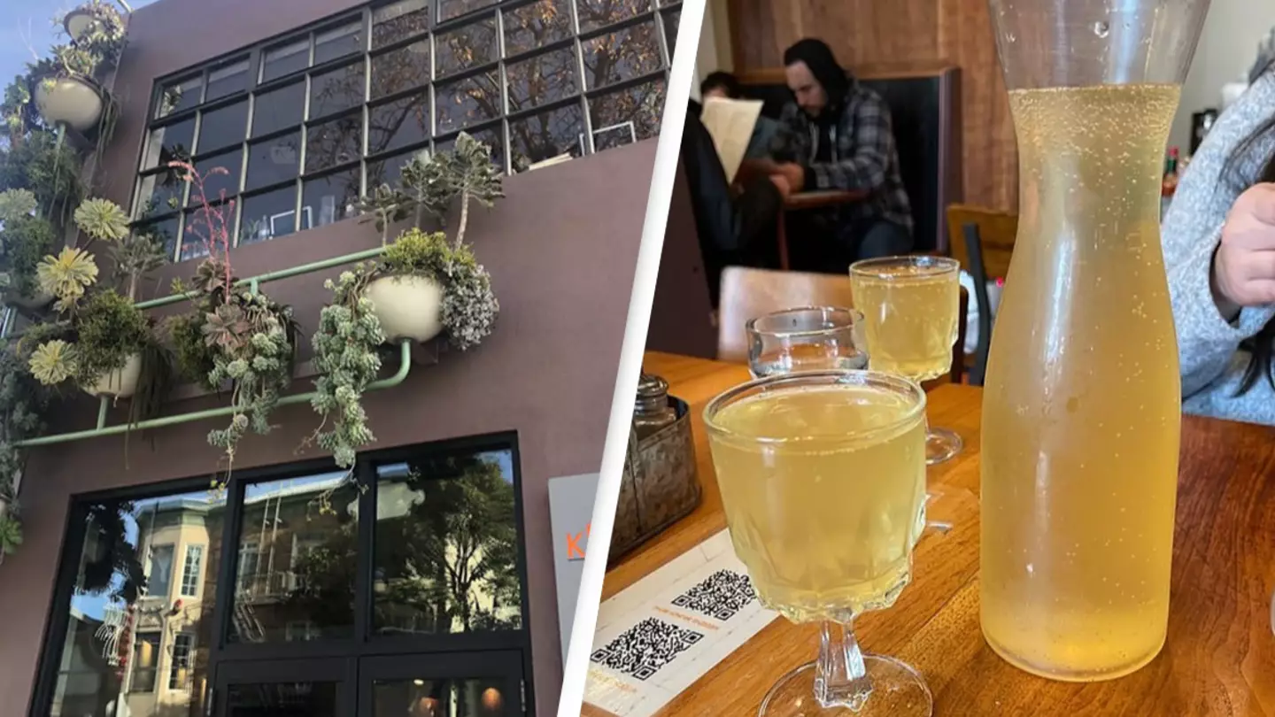 Restaurant charges 'vomit fee' for guests who drink too many mimosas