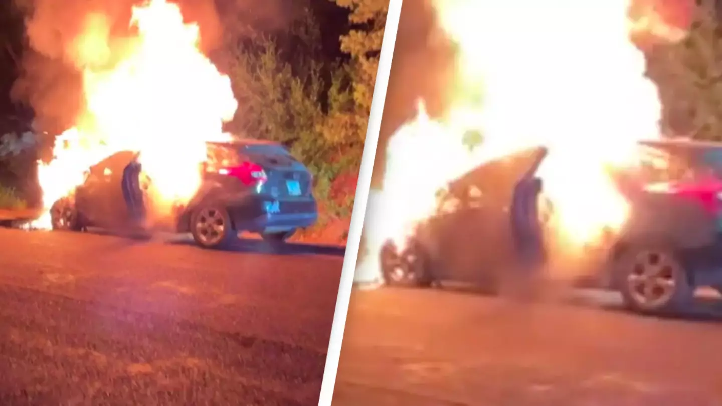 Man heroically saves toddlers from burning car seconds before it exploded