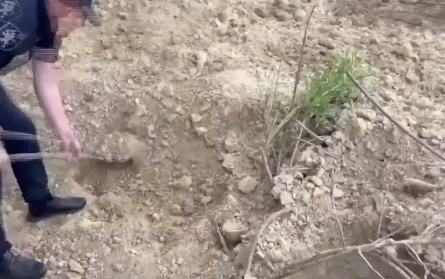 The man was trapped under soil in the suspect's yard. (JamPress)