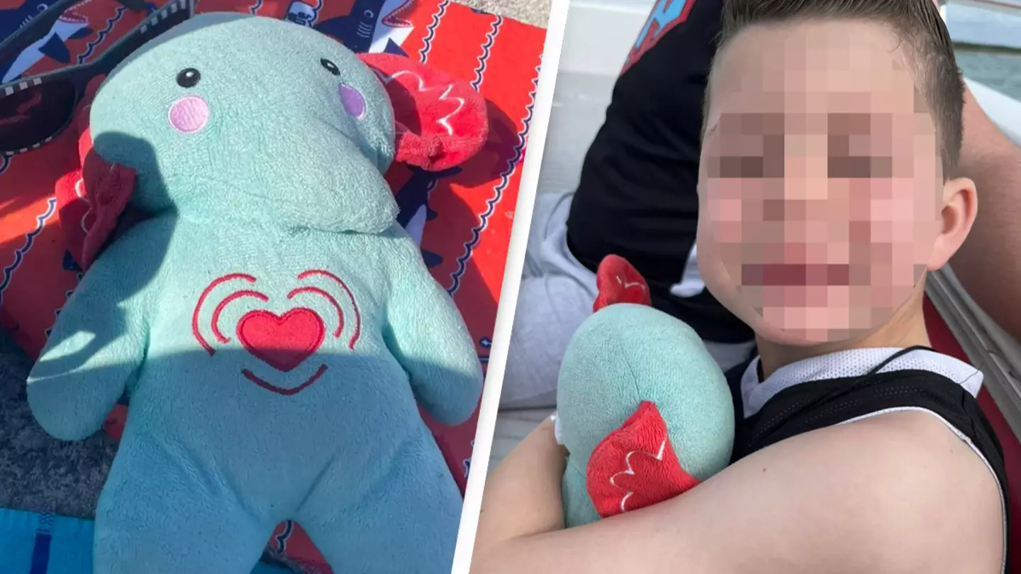 Mom pleads for help after teddy that contains her son’s ashes goes missing