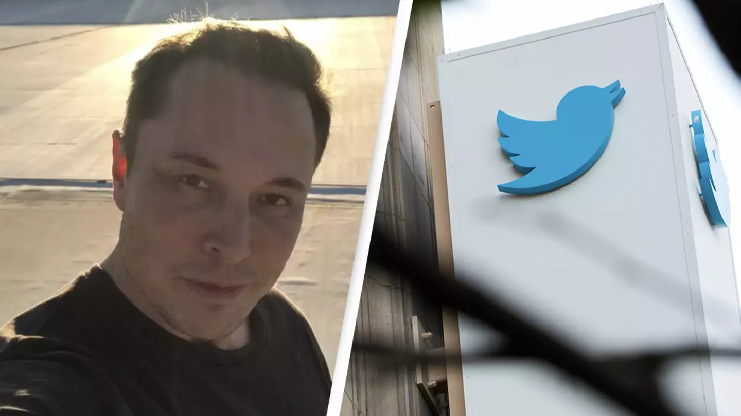 Elon Musk Confirms Twitter Deal Is 'On Hold'