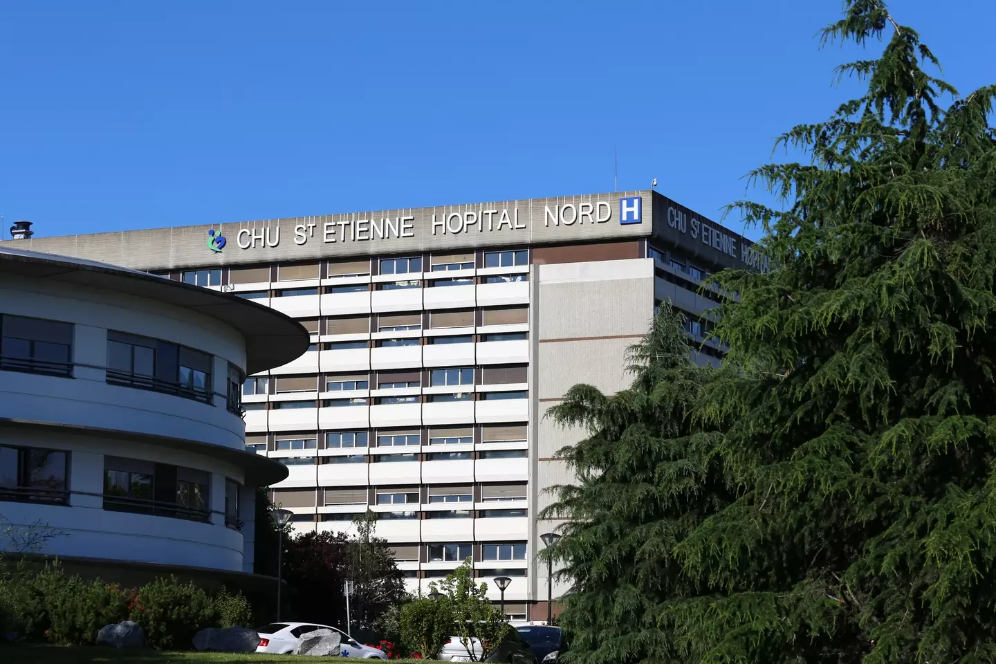 The 53-year-old was admitted to the University Hospital of Saint-Etienne after complaining his right eye had been itching for several hours.