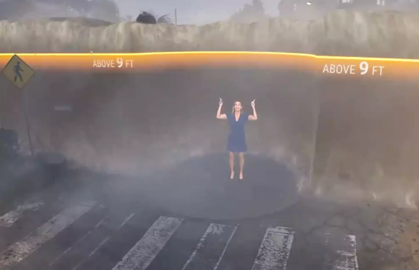 The simulation captures what a 9 foot surge looks like (Twitter/The Weather Channel)