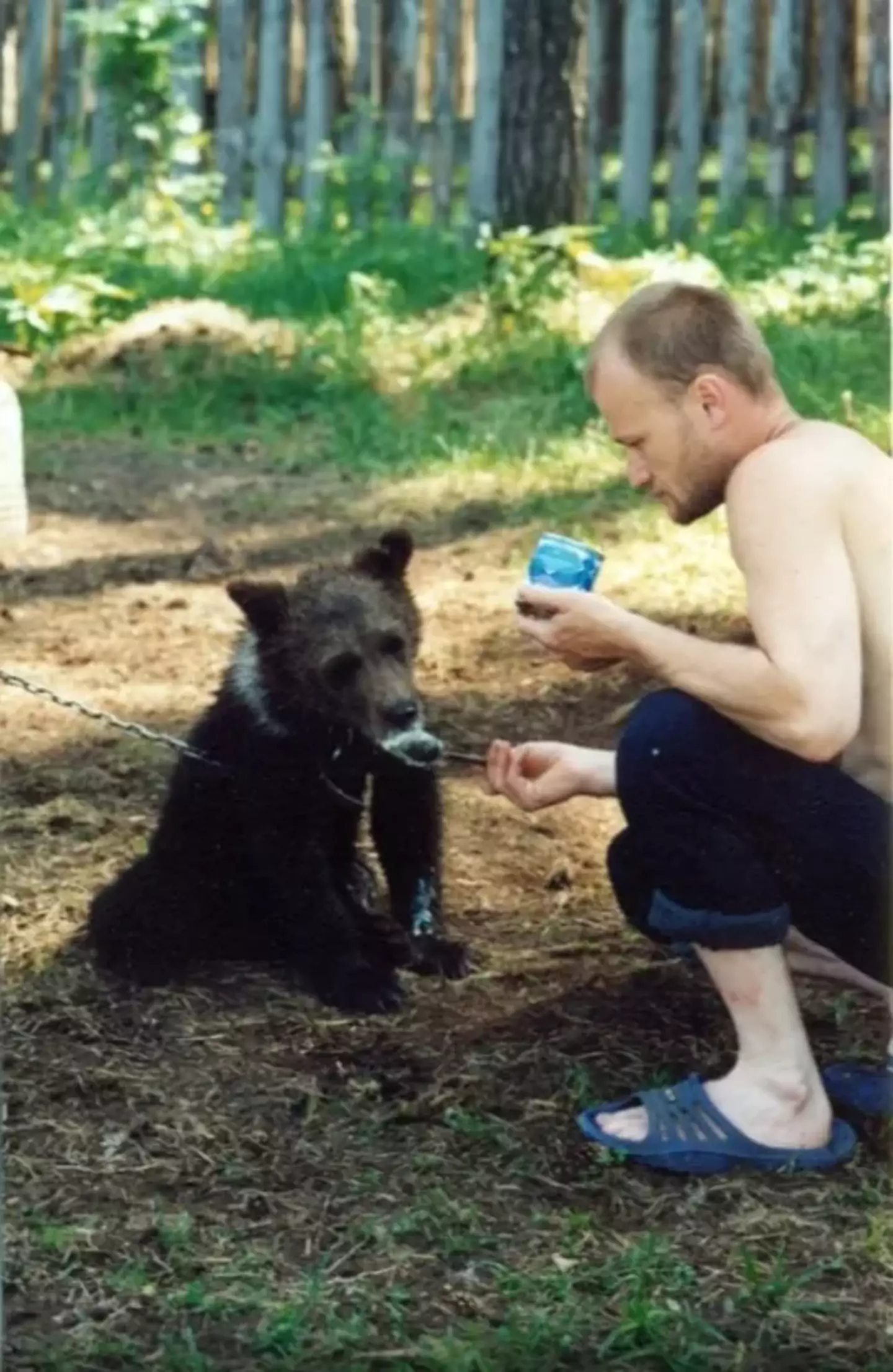 Hunter Sergey Grigoriyev adopted a bear cub in 2014.