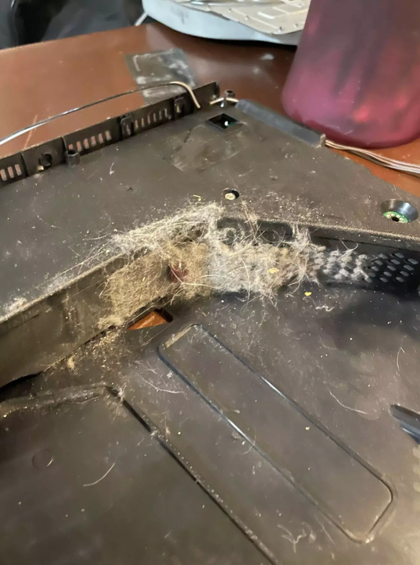 People have been left sickened.