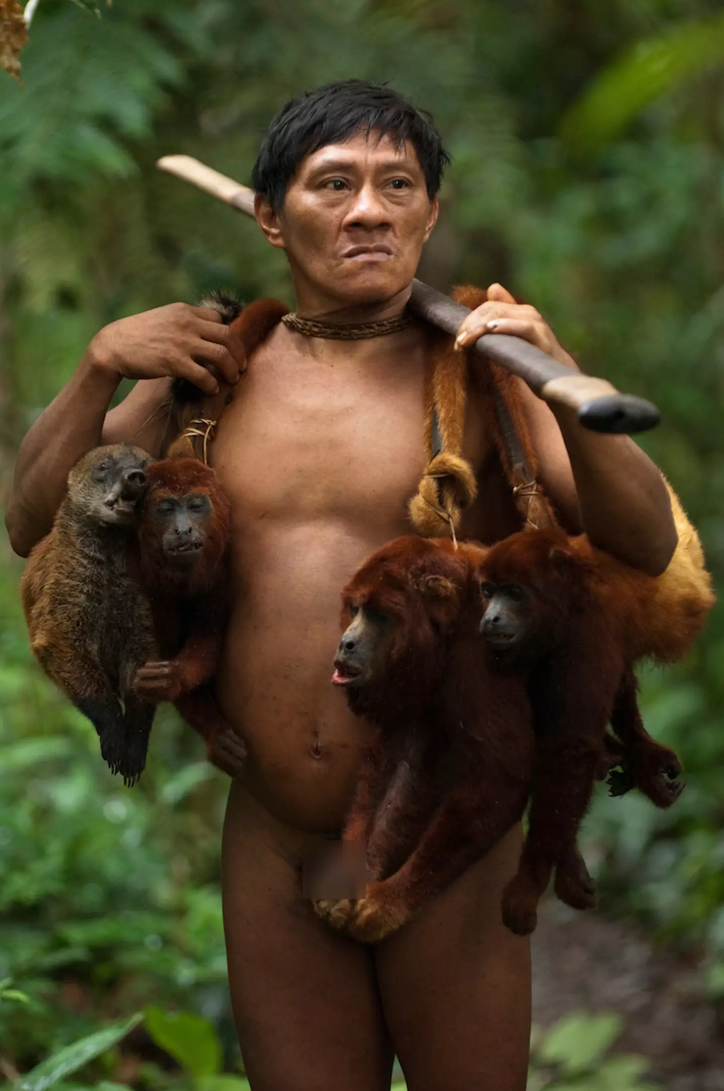 The tribe sees monkeys as prey.