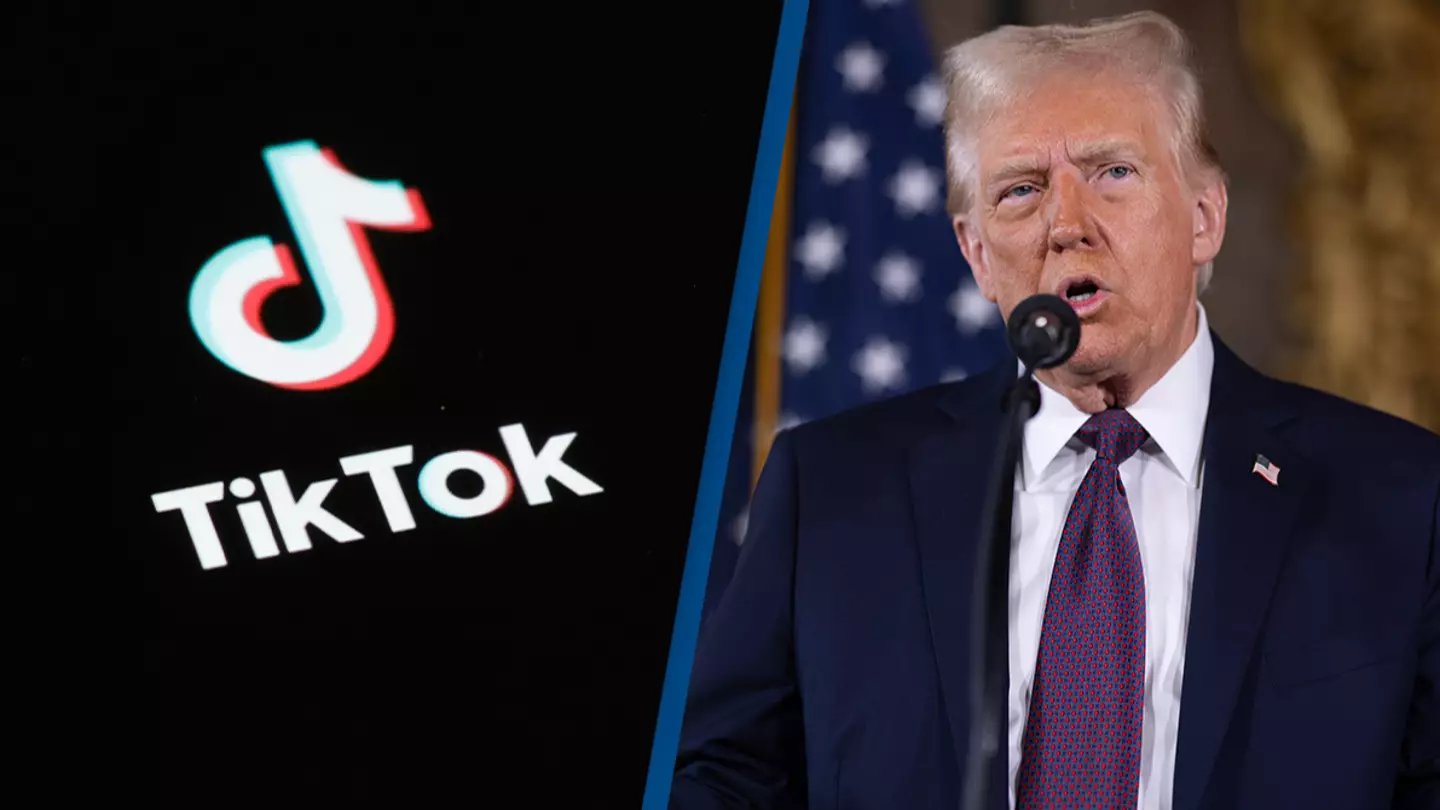 TikTok ban being called 'PR stunt' after spotting 'obvious' details in app statements