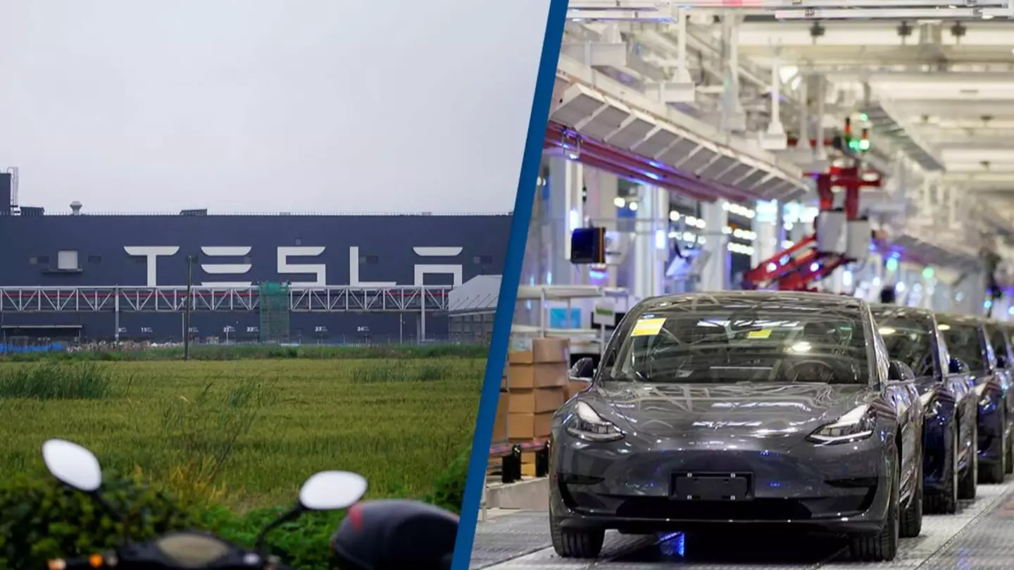 Tesla Workers Allowed To Leave Factory For First Time Since April