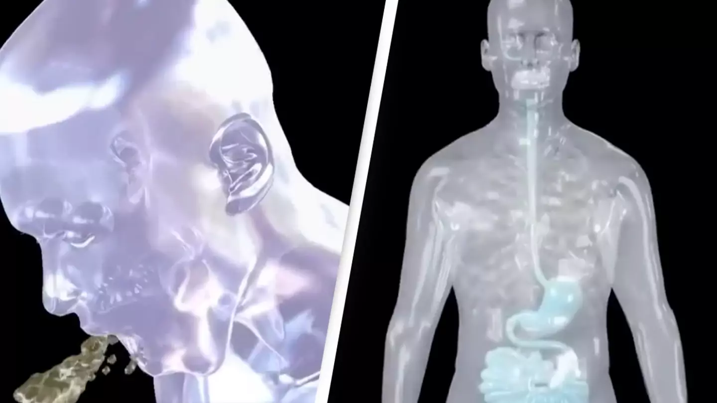 Unsettling simulation shows exactly what happens in your body when you vomit and people are horrified