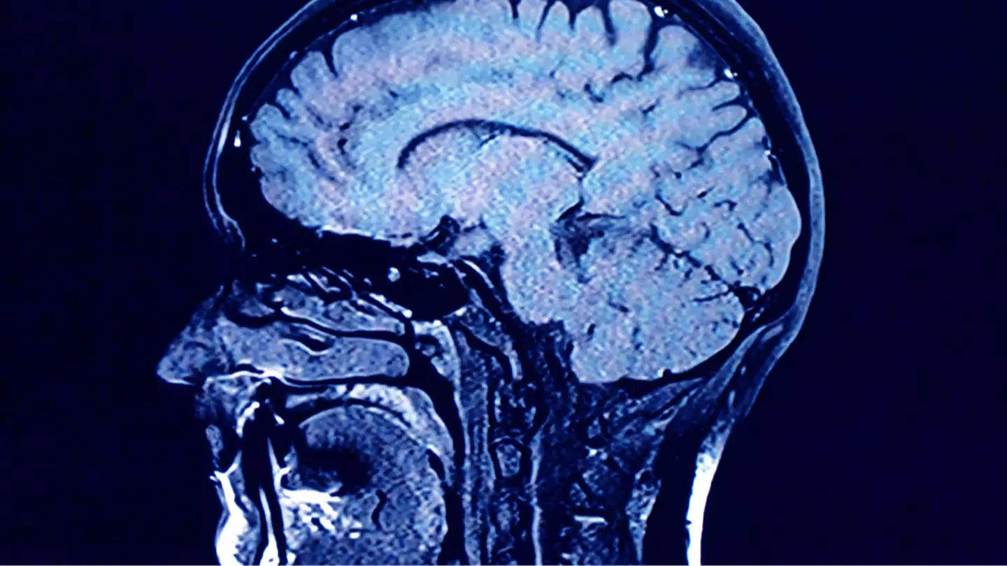 Getty Images/Roxana Wegner