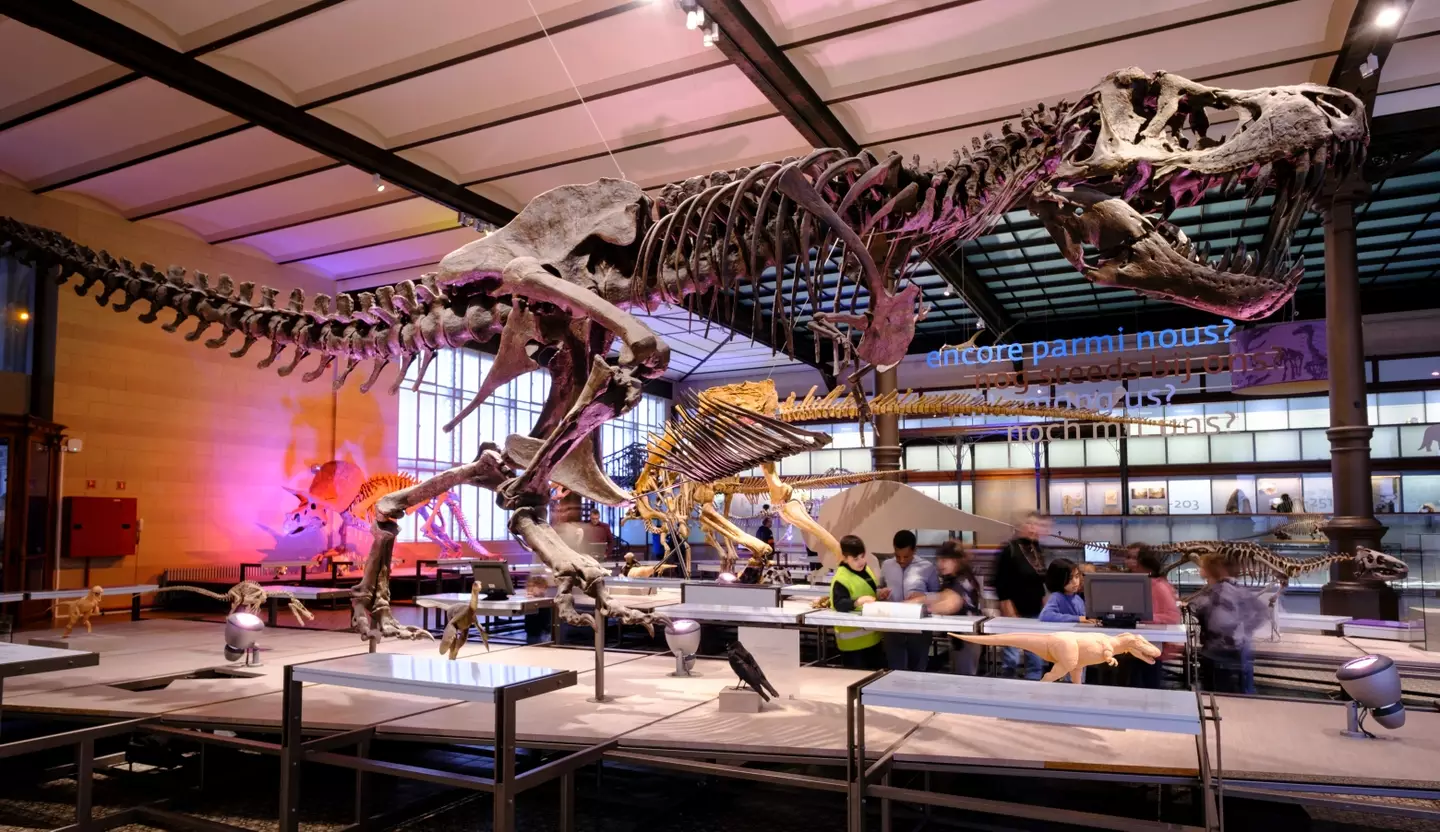 The position is named after the T-Rex's tiny arms (Thierry Monasse/Getty Images)