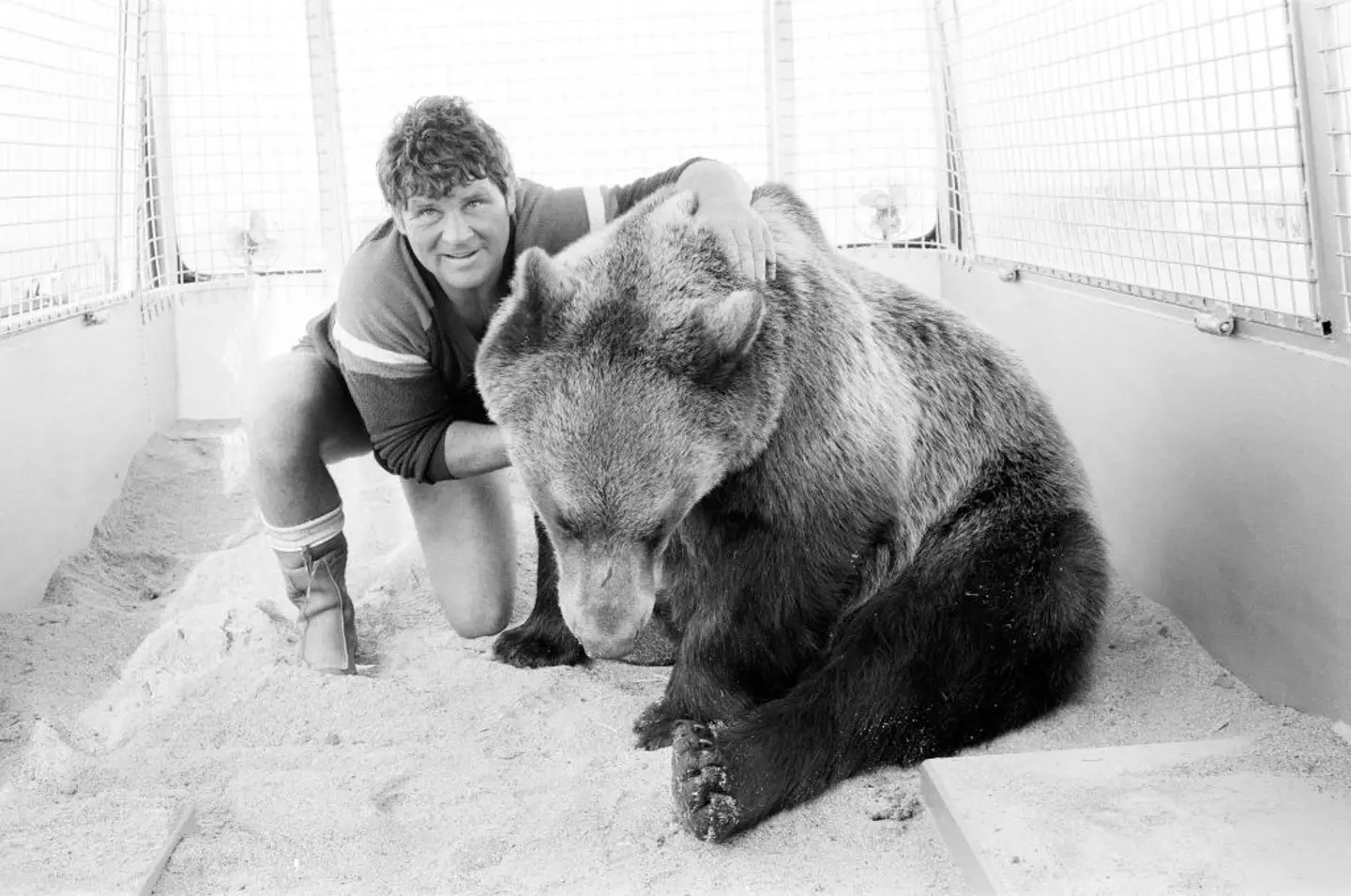 The bear lost a staggering amount of weight after being lost in the wilderness for so long (Peter Stone/Mirrorpix/Getty Images)