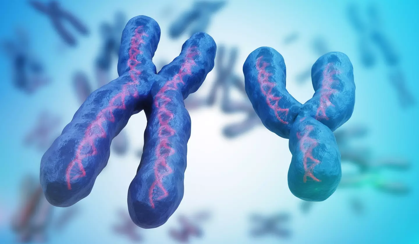 It all comes down to chromosomes (Getty)