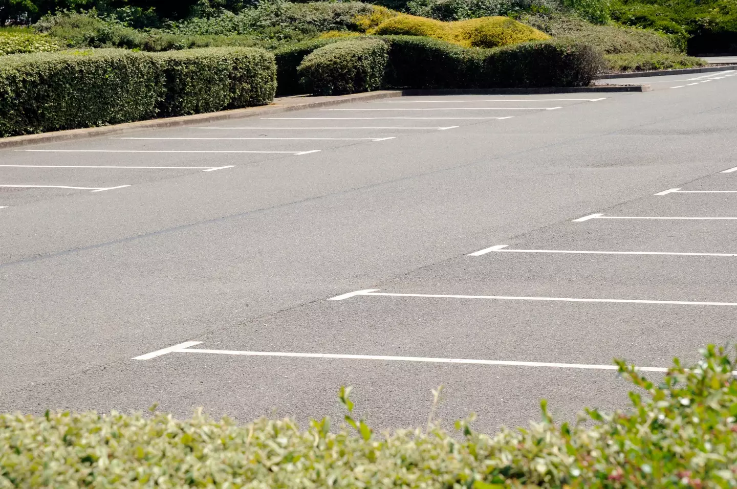 Michelle's family's car was found in the mall car park.