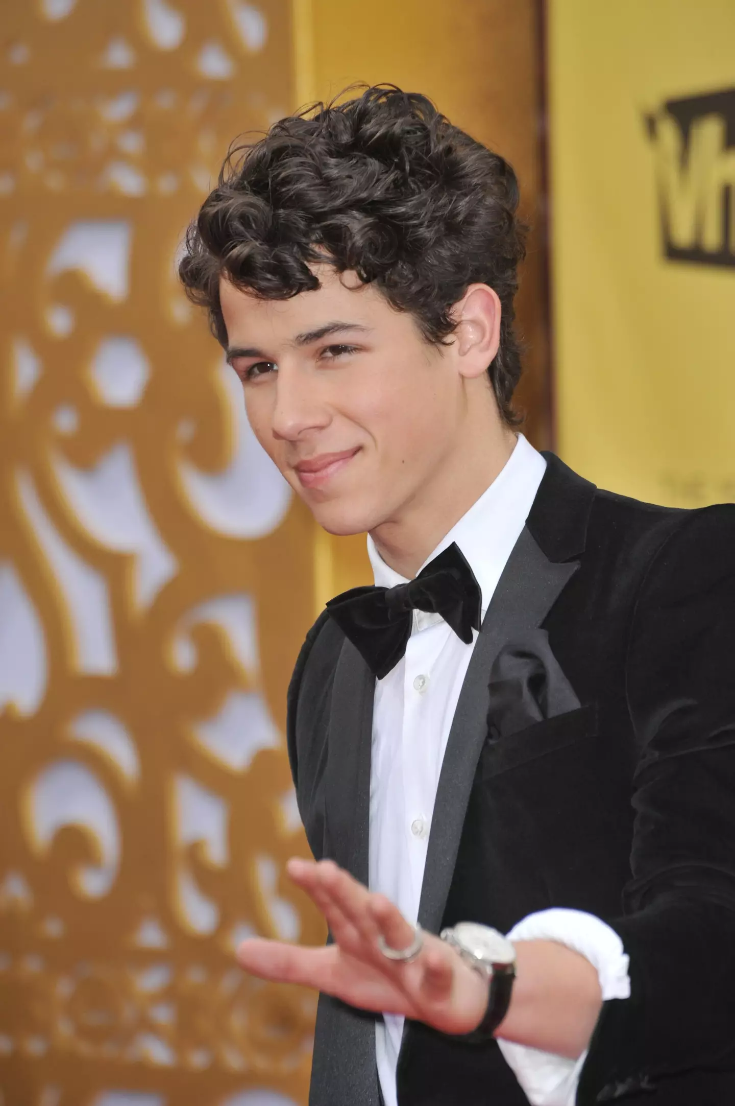 Nick Jonas rose to fame in his teens.