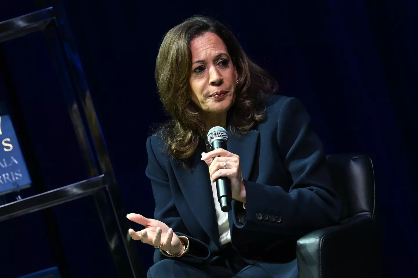 Harris responded to claims that The Rock would have more chance than her (Paras Griffin/Getty Images)