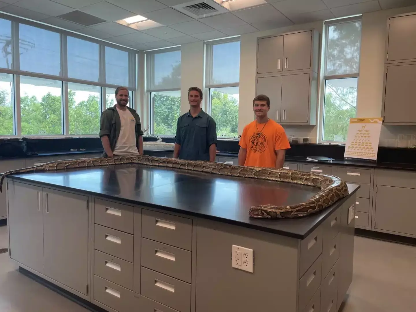 They donate the python to science.