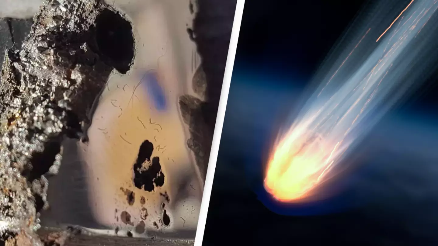 University of Alberta / Ignatiev/Getty