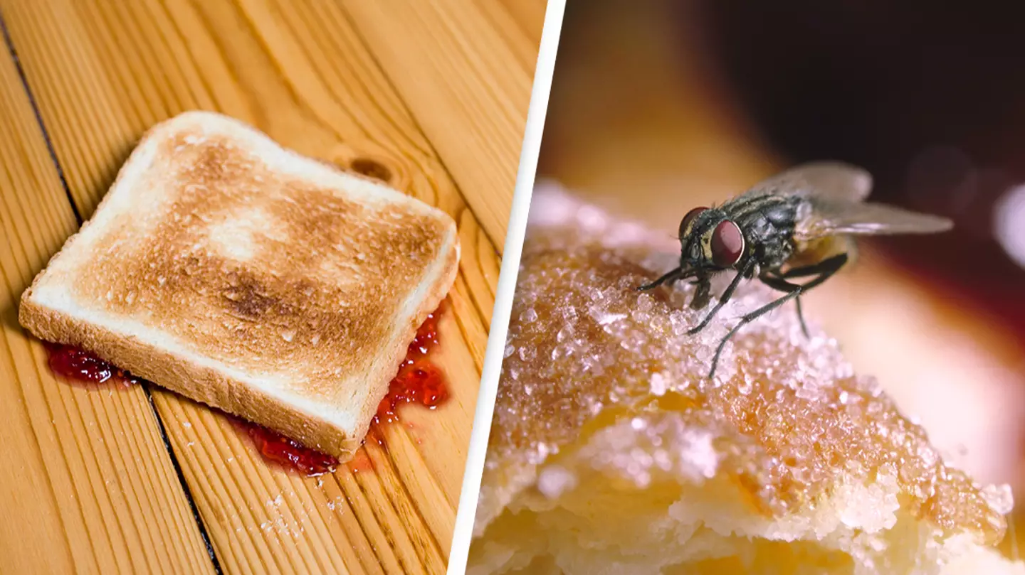 Patrick Strattner/Oxford Scientific/Getty Images