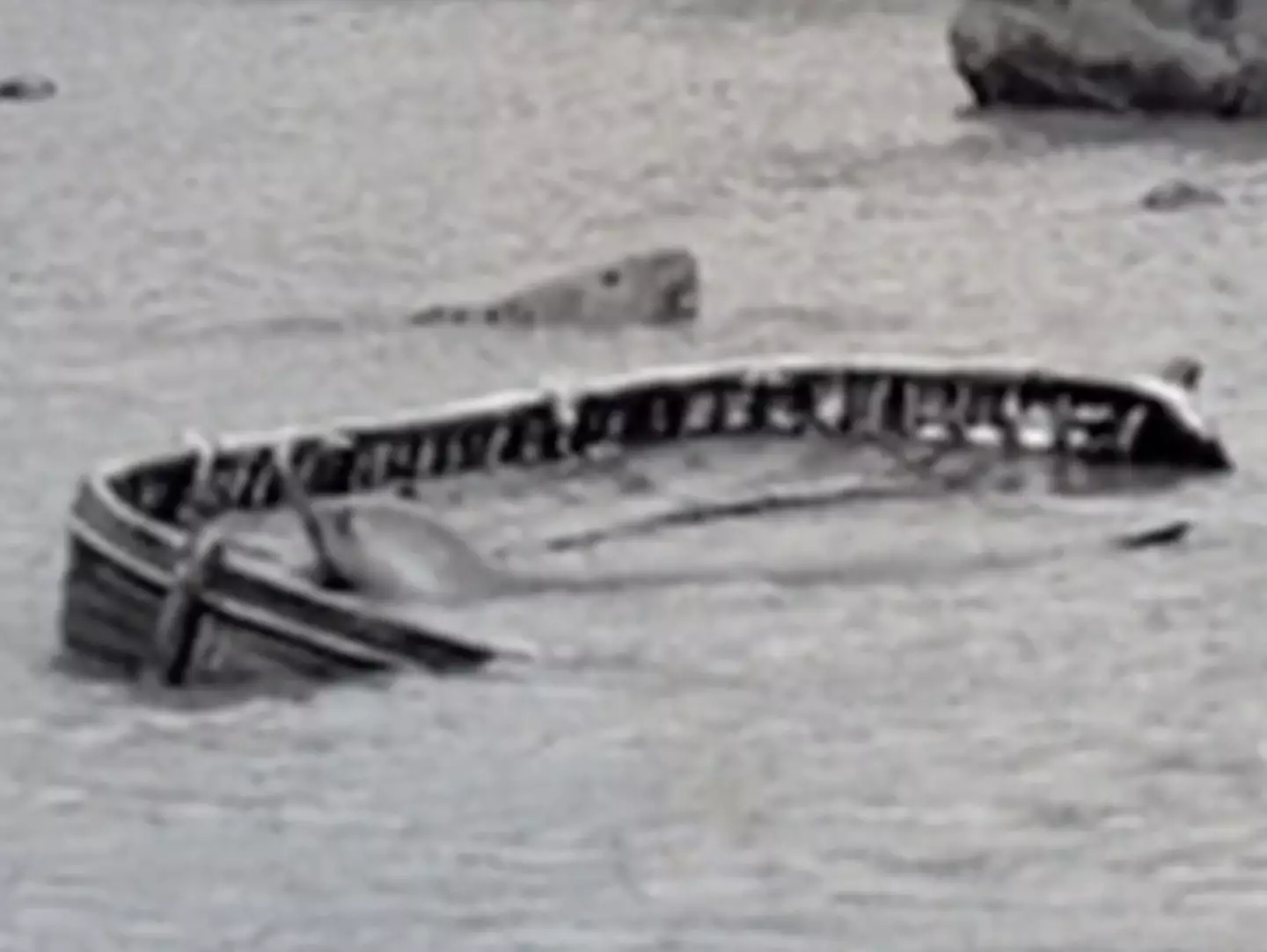 The boat was found in a lagoon.