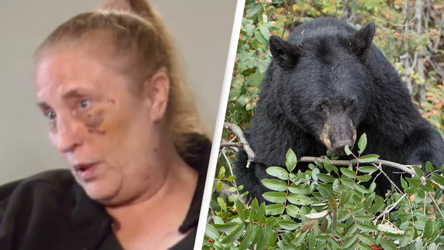 Woman made chillingly calm 911 call after being mauled by a bear for 30 minutes