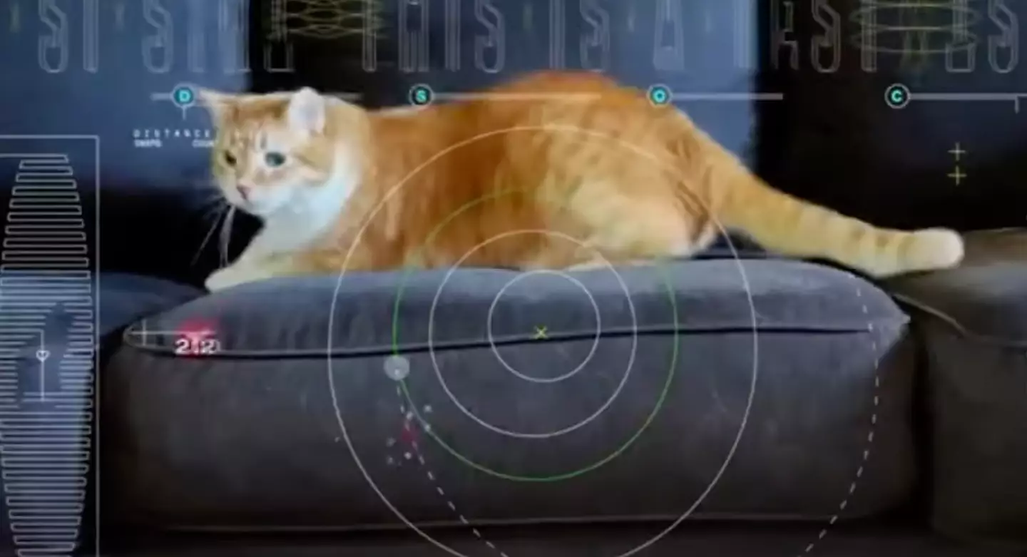 The clip of Taters made its way to Earth in a matter of seconds.