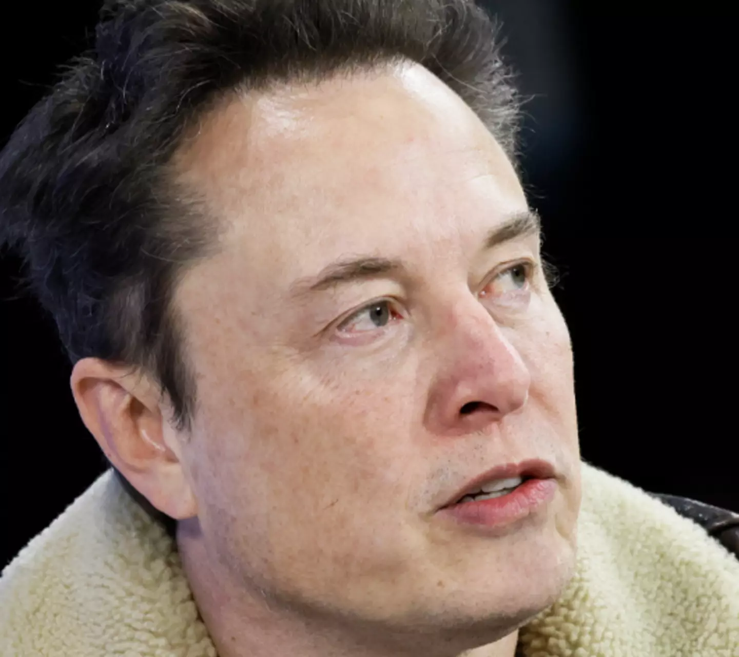 Elon Musk wasn't alone in his reasoning.