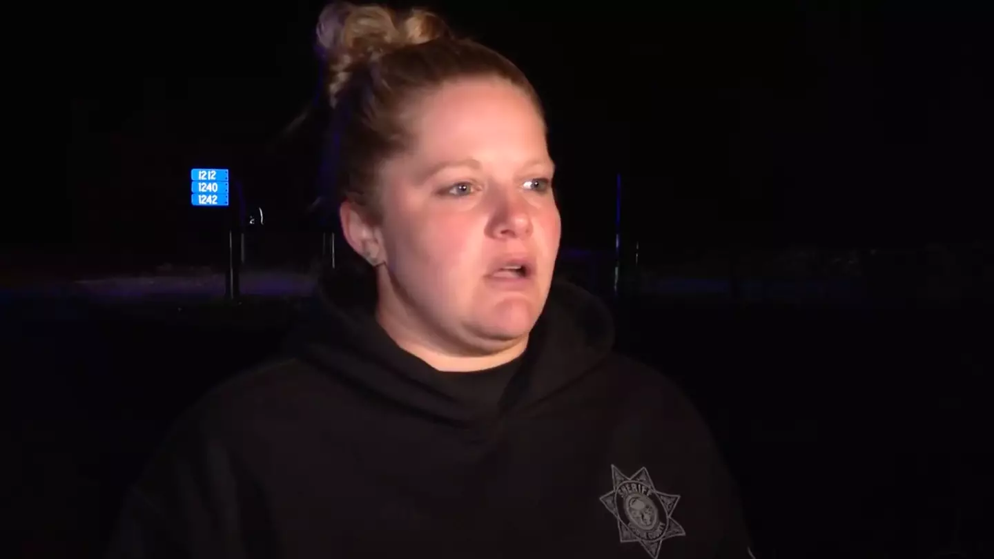 Plane crashes into river leaving 3 people dead as police issue statement