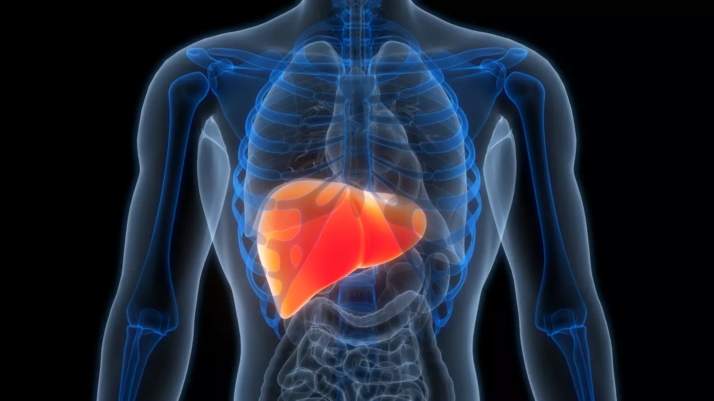 Diet sodas can increase the risk of Nonalcoholic fatty liver disease (Magicmine/Getty Images)