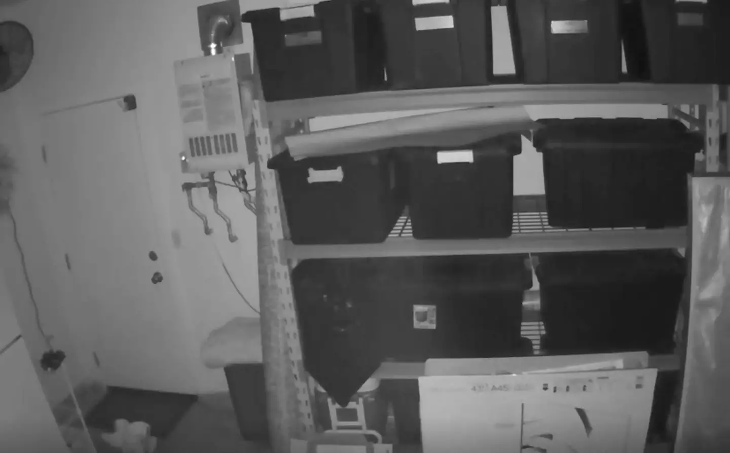 Some social media users admitted they were more than a little creeped out by the video.