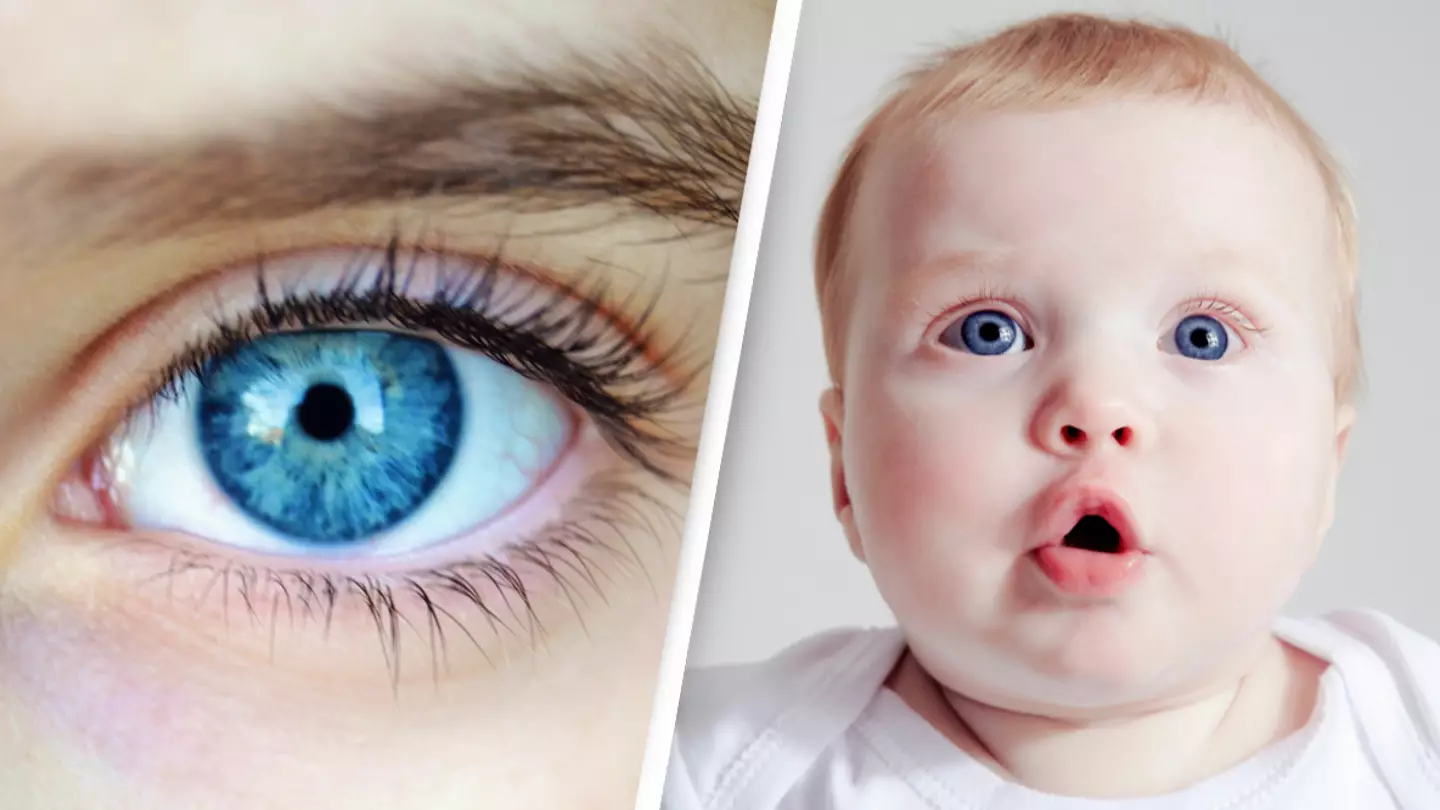 Every blue-eyed person is a descendant of one single human