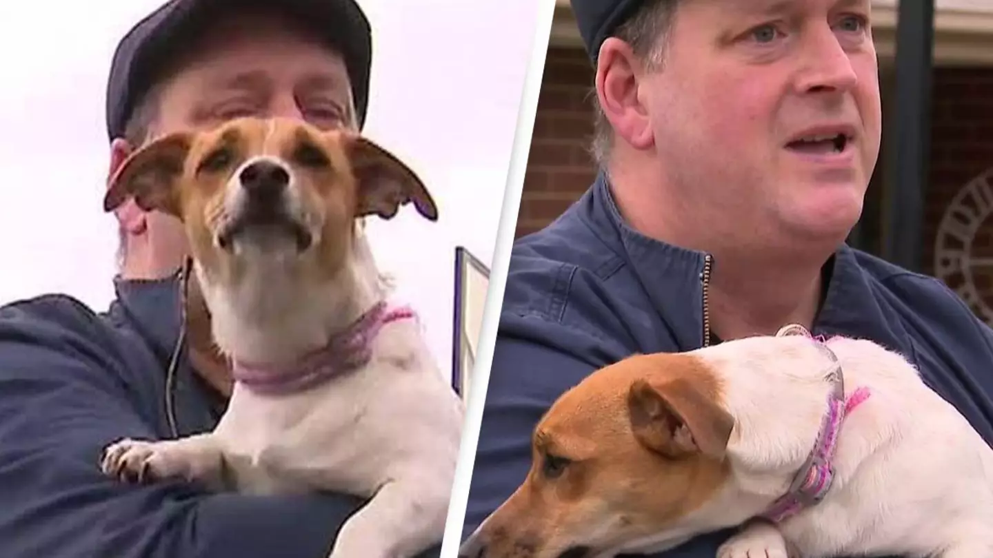 Puppy saves owner's life in incredible way after he collapsed at home alone
