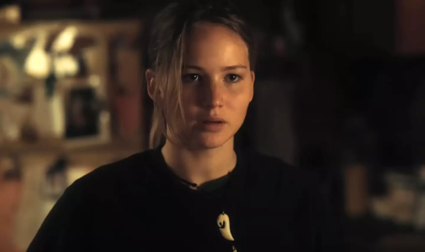 Jennifer Lawrence stars as Ree Dolly in the 2010 movie Winter's Bone (Roadside Attractions)