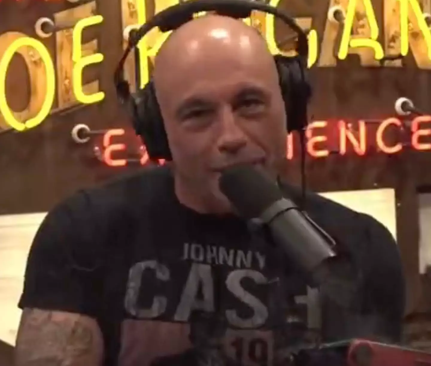 Rogan said people were 'silly'.