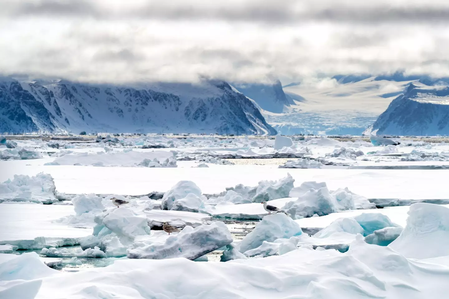 Arctic circle (Alamy)