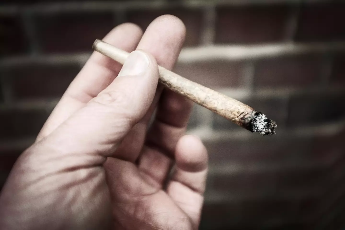Five California stoners have set the record straight about where the term 420 came from.