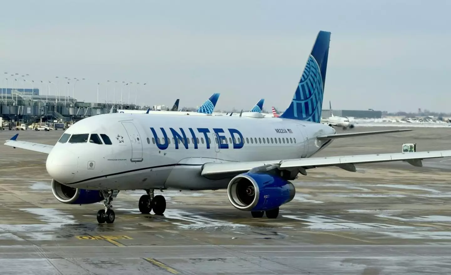 United Airlines offered the pass for $290,000 (DANIEL SLIM/AFP via Getty Images)