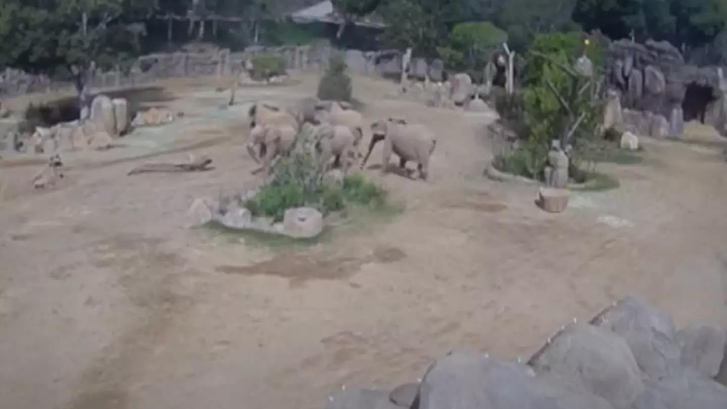 San Diego Zoo