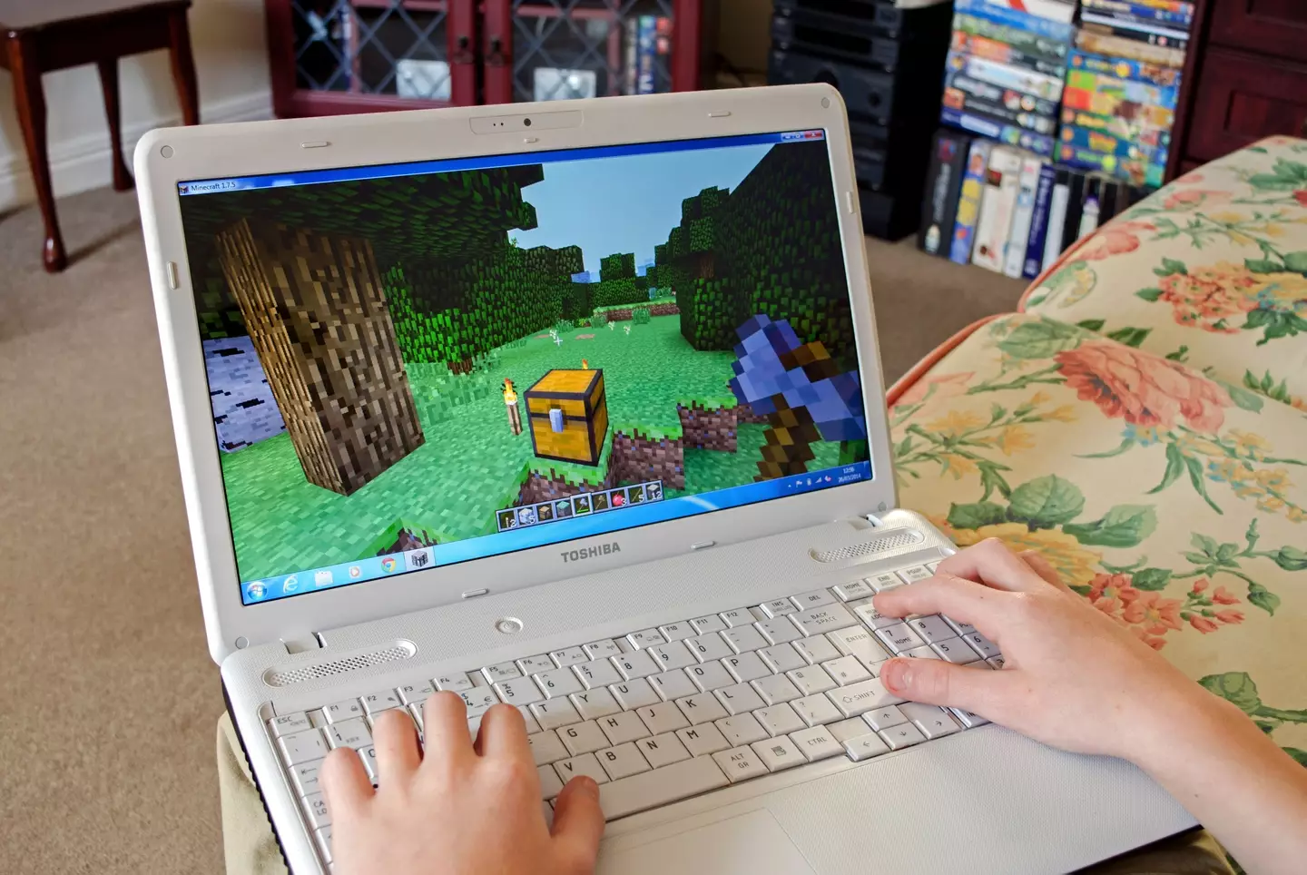 Minecraft (Alamy)