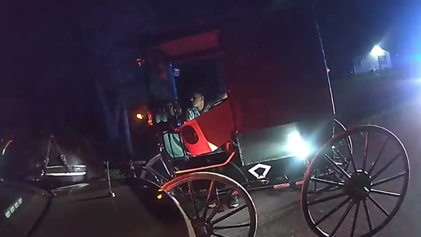 Police responded to reports of a horse and buggy 'going all over the road'.