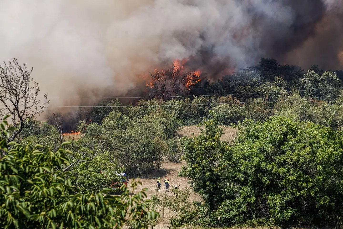 Fires have raged in the Kras region of Slovenia.