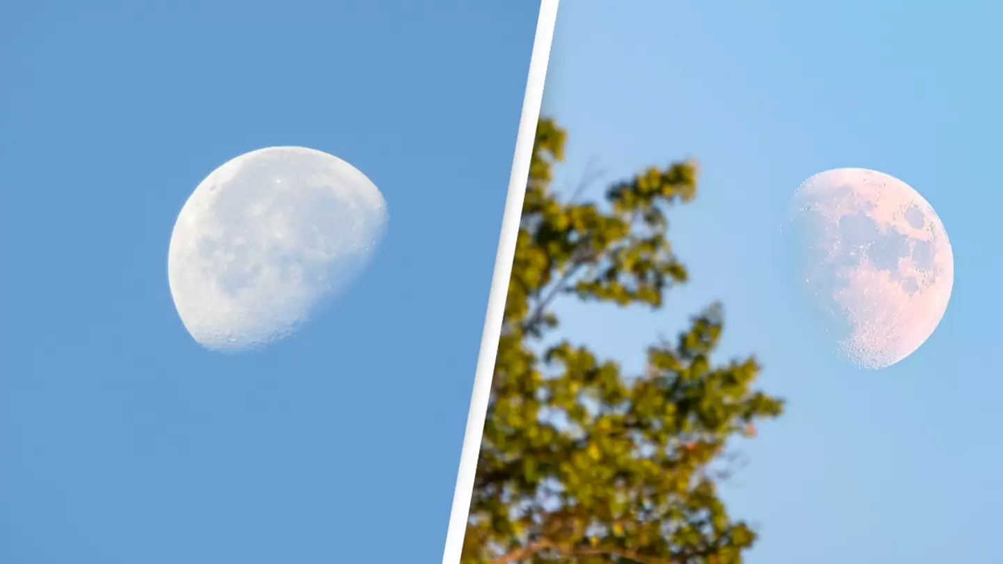 People are mind-blown after learning why you can sometimes see the Moon during the day