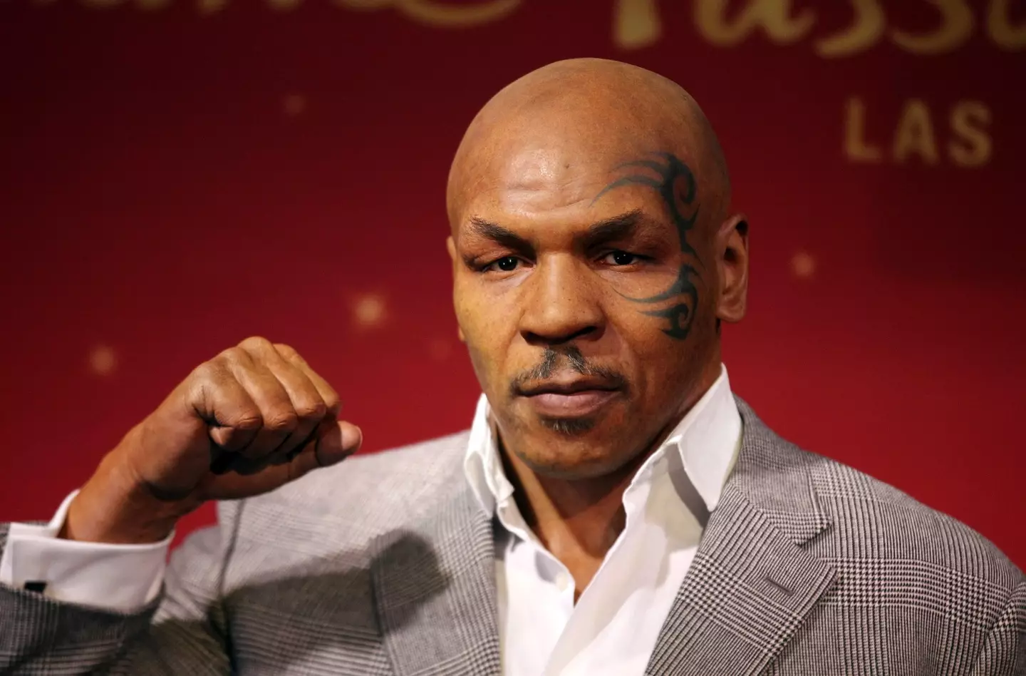 Mike Tyson won’t face charges after hitting a plane passenger.