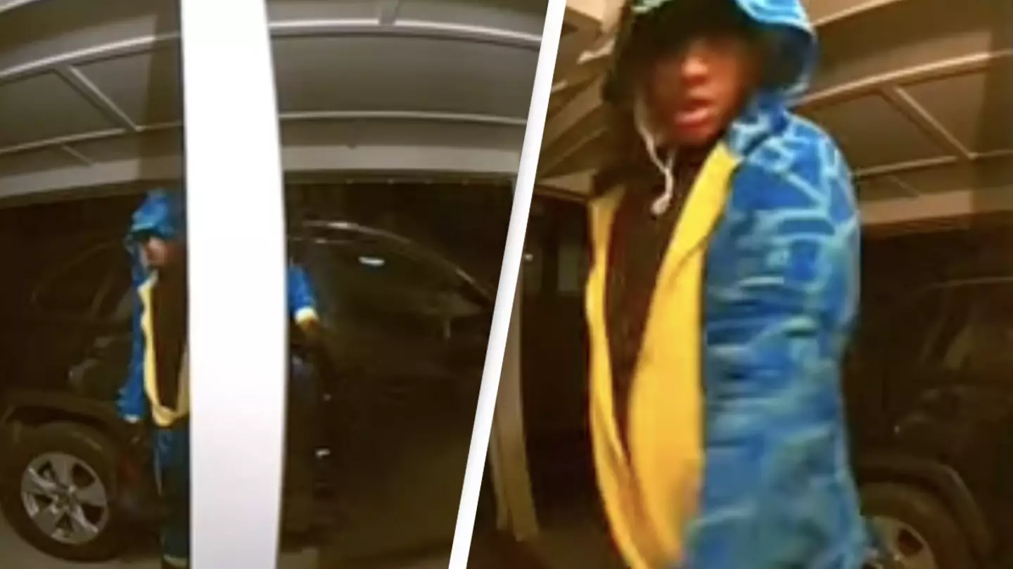 Police Are Searching For A Burglar Spotted In A Blue And Yellow Dinosaur Onesie