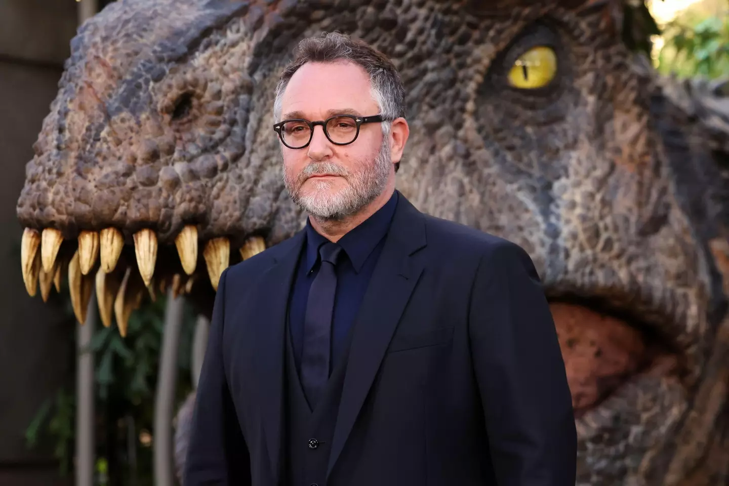 Colin Trevorrow has shared why he thinks Jurassic Park is 'unfranchiseable'.