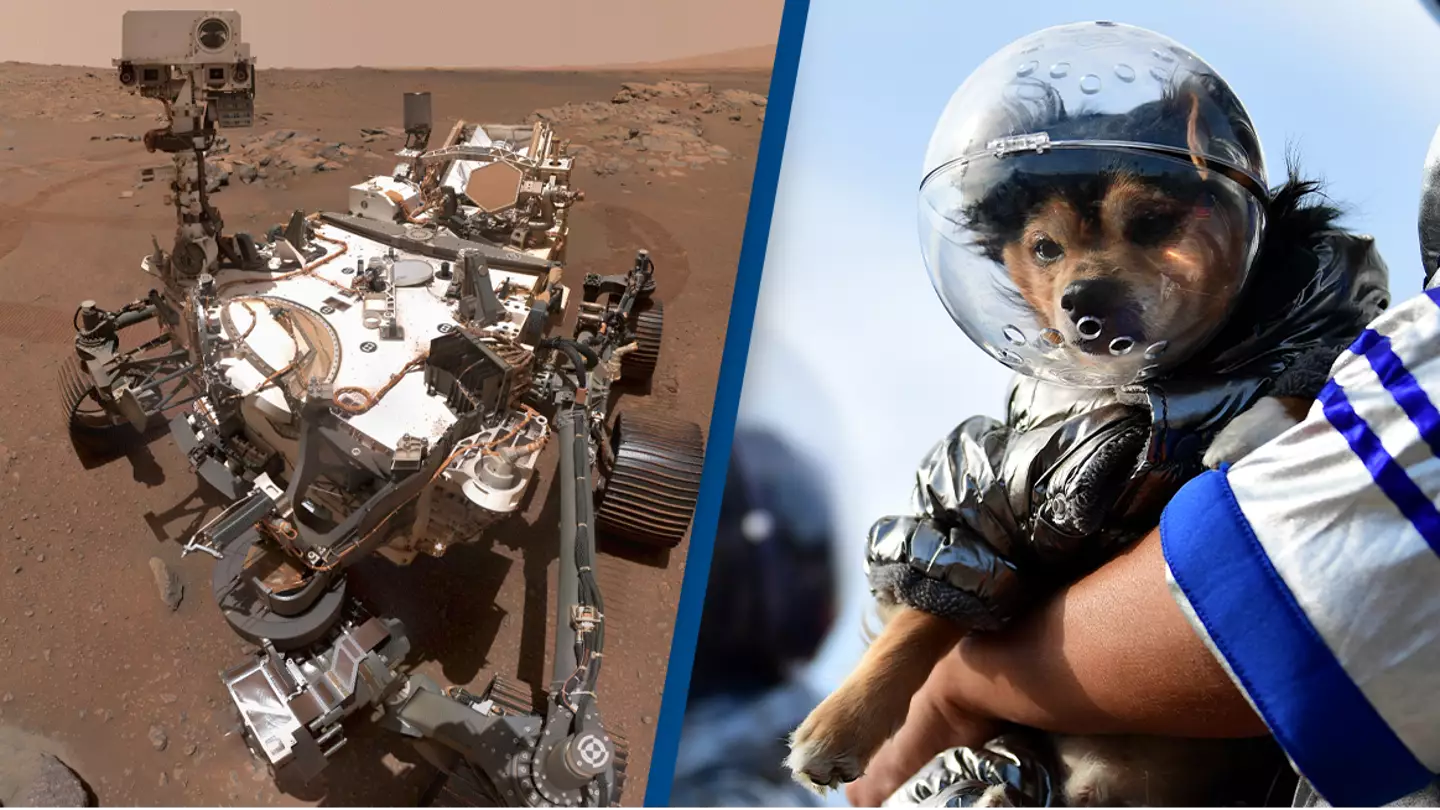 Mars rover has generated enough oxygen for a small dog to breathe for 10 hours