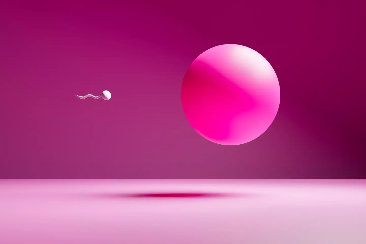 Scientists say aging sperm could quietly pass on harmful genetic changes (Hector Roqueta Rivero/Getty Images)