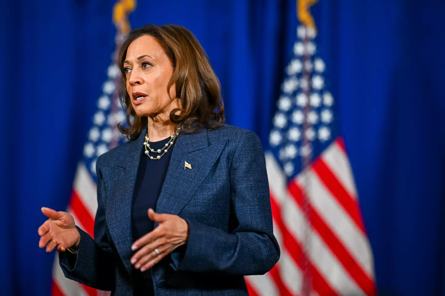 Harris won in states such as New York and California (Brandon Bell/Getty Images)