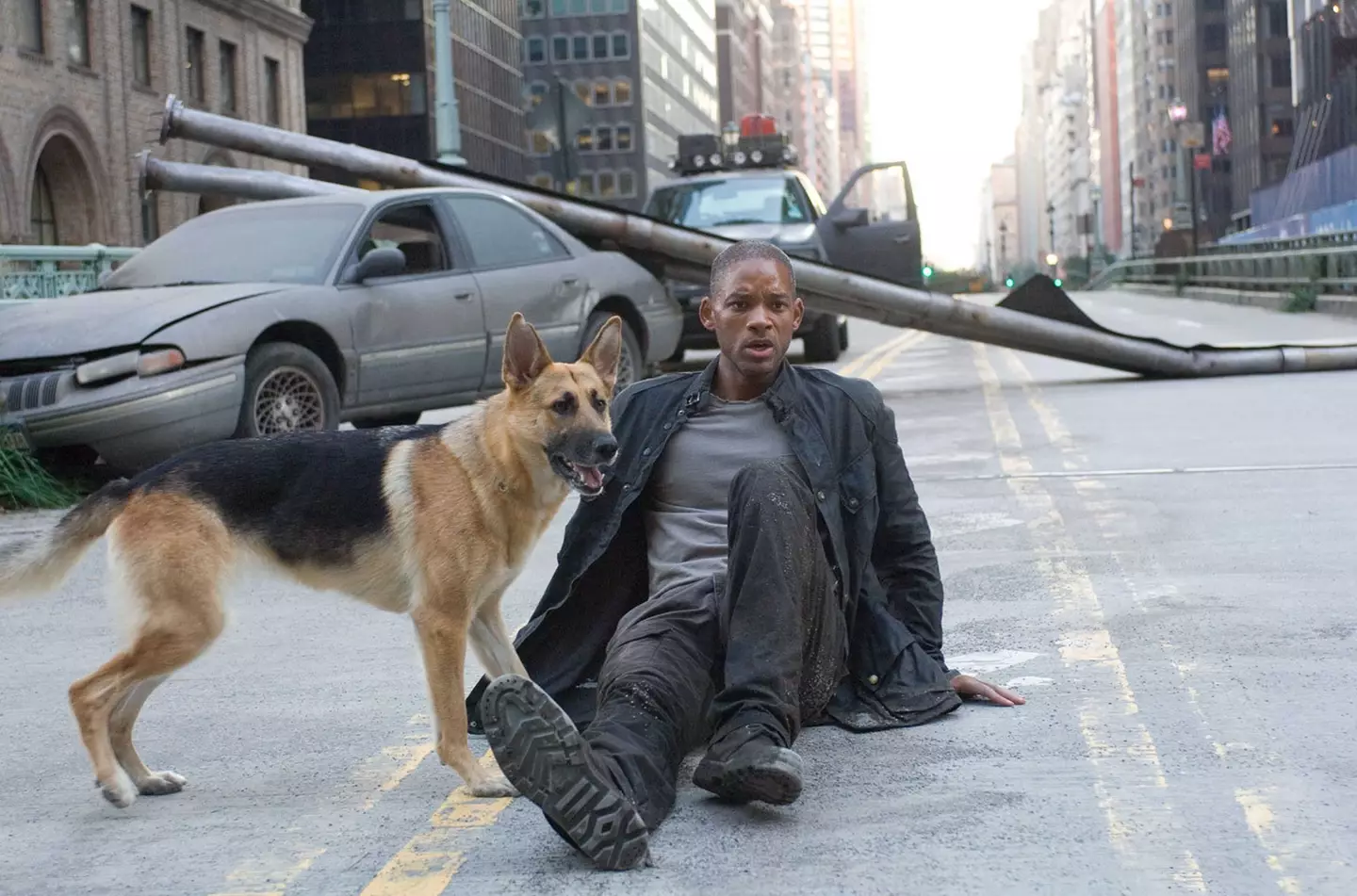 I Am Legend (Alamy)