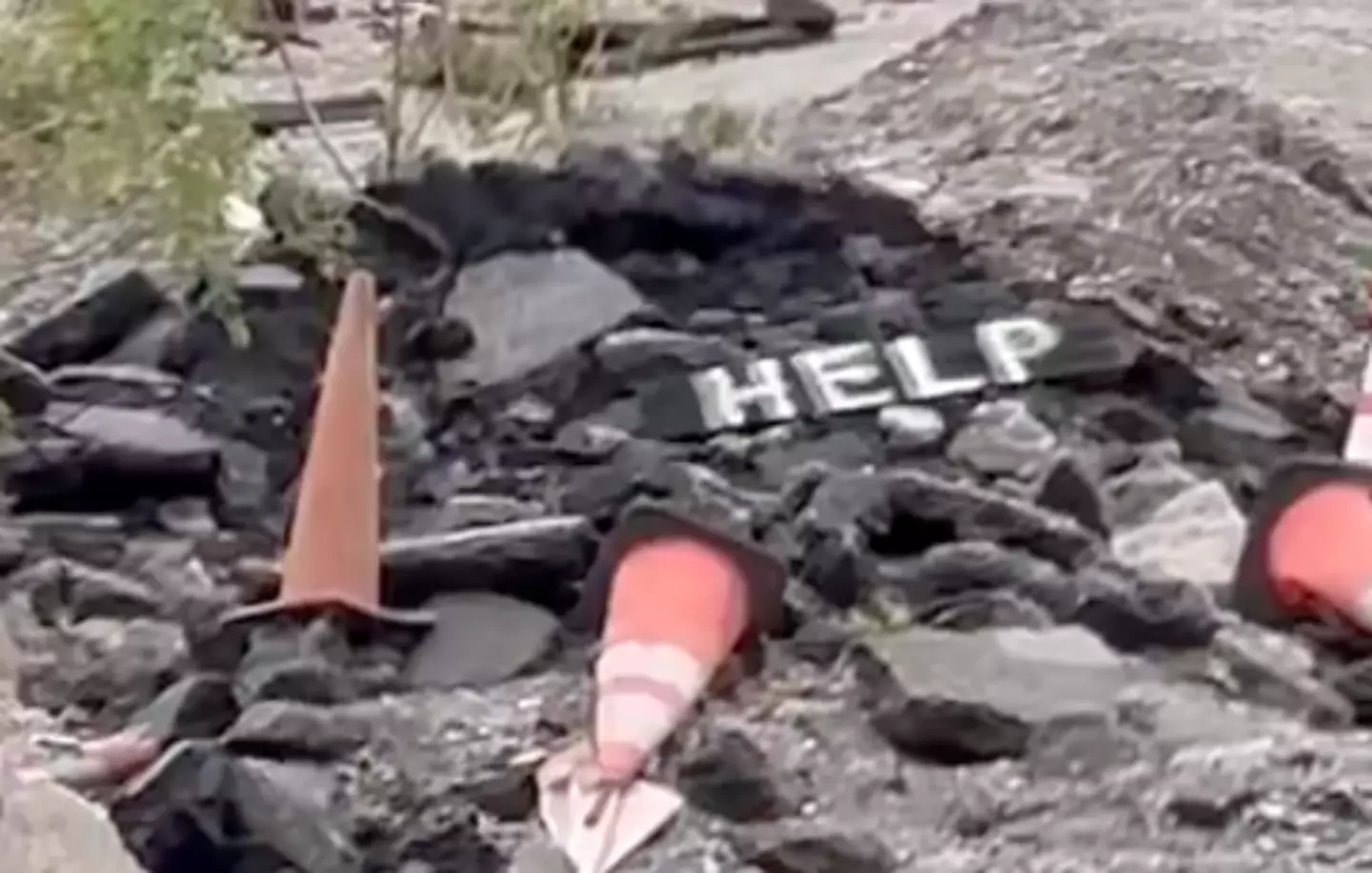 Locals have claimed the signs are written by one man (X/@LAguy310)